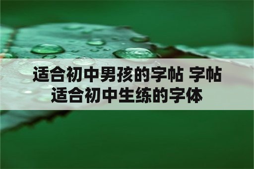 适合初中男孩的字帖 字帖适合初中生练的字体